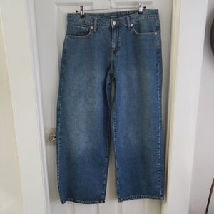 NWOT Wild Fable Baggy Fit Blue Jeans